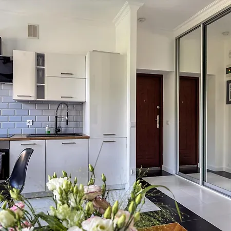 Quiet Cozy Centre Hoza Street Pkin View * Varsavia